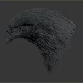 Detailed 3D Rendered Emu Head With Textured Feathers On Gray Background