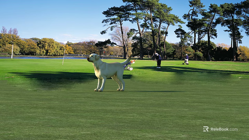 Yellow Labrador Dog Standing On Green Golf Course With Trees Lake And People 3d model 