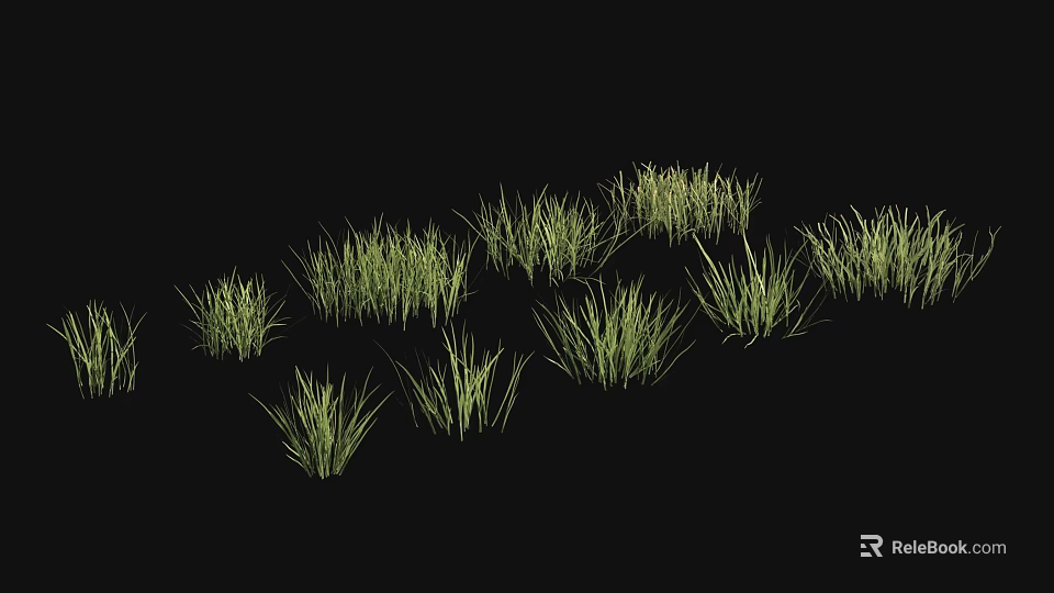 Lush Green Grass Clusters On Black Background Natural Growth 3d model 
