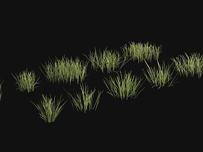 Lush Green Grass Clusters On Black Background Natural Growth 3d model