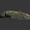 Neat Aerial Planning With Organized Building Layout Tree Surroundings And Road Design