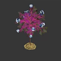 Green Leaf Plant With White Flowers And Root In Soil On Dark Background