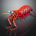 Vibrant Red Shrimp With Detailed Texture And Long Antennae On Dark Background