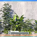 Various Green Plants Arrangement Against Gray Wall With Wooden Floor And Pebbles