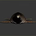 Realistic 3D Model of Aquatic Creature with Long Body and Fins on Dark Background