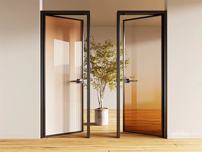 Modern Glass Swing Doors With Black Frame And Potted Plant In Interior Design 3d model