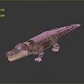 Crocodile 3D Model With Open Mouth Sharp Teeth And Realistic Scales On Gray Background