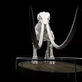 Modern skeleton Mammoth fossil skeleton 3d model