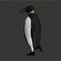 Adorable Penguin With Black White Plumage And Orange Beak In Standing Posture On Gray Background 3d model
