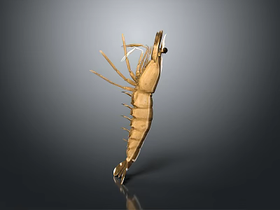 Detailed Golden Shrimp 3D Render With Antennae Legs On Gray Background 3d model