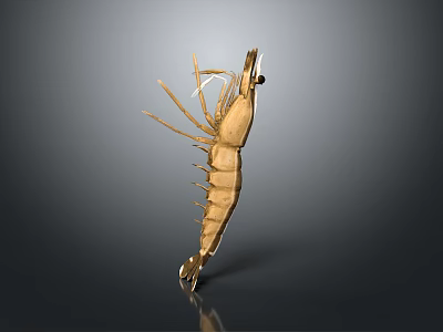 Modern Shrimp Prawn Lobster Large Lobster Crystal Lobster 3d model