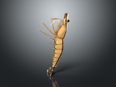 Modern Shrimp Prawn Lobster Large Lobster Crystal Lobster 3d model