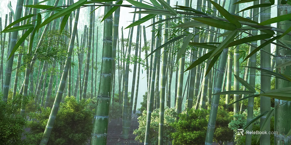 Tall Bamboo Stalks in Lush Green Forest with Sunlight Filtering Through Leaves 3d model 