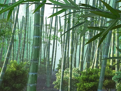 Tall Bamboo Stalks in Lush Green Forest with Sunlight Filtering Through Leaves 3d model