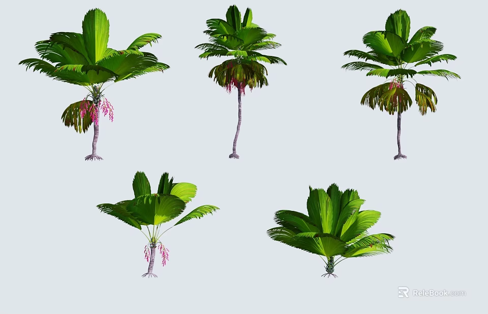 Lush Arbor Trees with Large Green Leaves Pink Flowers and Slender Trunks 3d model 