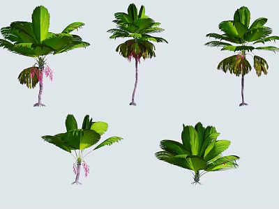Lush Arbor Trees with Large Green Leaves Pink Flowers and Slender Trunks 3d model