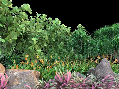 Garden Flowers And Plants With Colorful Foliage Orange Blooms Pink Leaves And Rocks 3d model