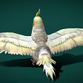Modern Xuan Feng Parrot 3d model