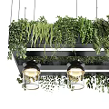Modern Chandelier Design With Black Frame Glass Shades And Hanging Greenery Plants