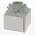 Colorful Succulent Plants in Wooden Square Pots for Indoor Decoration
