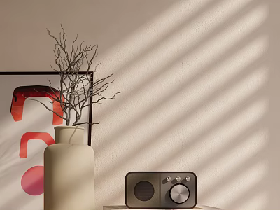 Decorative Ornament Set With White Vase Branches Black Radio And Wall Painting Light Shadow 3d model