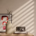 Decorative Ornament Set With White Vase Branches Black Radio And Wall Painting Light Shadow