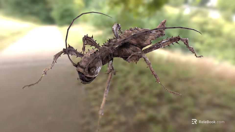 Spiny Reptile Resembling Dried Branch In Nature 3d model 