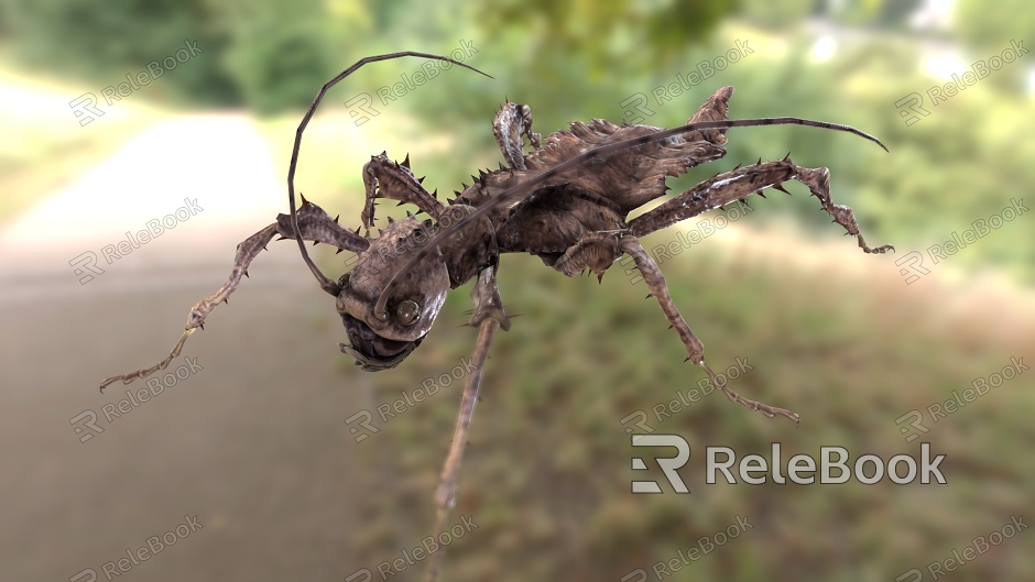 Heteroptera heteroptera nymph insect grasshopper mantis model