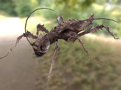 Spiny Reptile Resembling Dried Branch In Nature 3d model