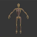 Pink Robot Character 3D Render With Yellow Joints And Humanoid Features 3d model