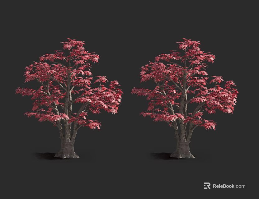 Striking Pair of Lush Arbors With Vibrant Red Leaves Against Black Background 3d model 