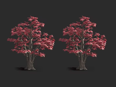 Striking Pair of Lush Arbors With Vibrant Red Leaves Against Black Background 3d model