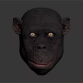 Realistic Chimpanzee Head 3D Model With Yellow Eyes And Dark Gray Surface