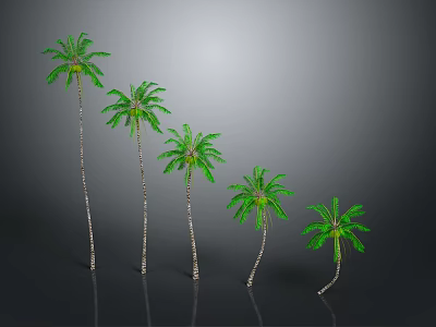 Five Palm Trees with Different Heights Standing in a Row Against Gray Backdrop 3d model
