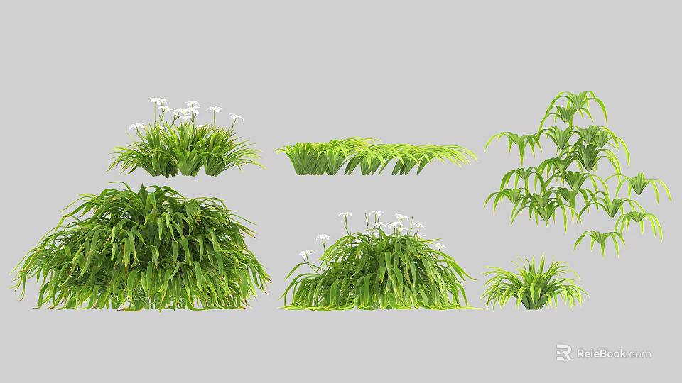 Lush Green Plants And White Flowers With Various Foliage And Shrub Types 3d model 