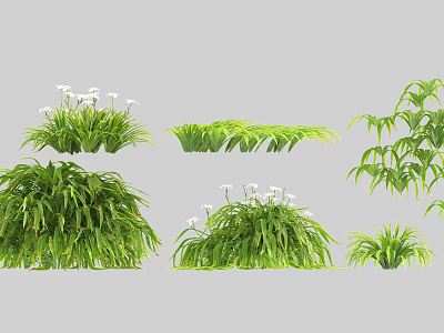 Lush Green Plants And White Flowers With Various Foliage And Shrub Types 3d model
