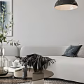 Modern Minimalist Living Dining Room Interior With Gray Sofa Dark Pillows And Green Plant