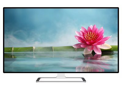 Modern Television Displaying Pink Lotus Flower Bamboo and Water Reflection on Blue Screen 3d model