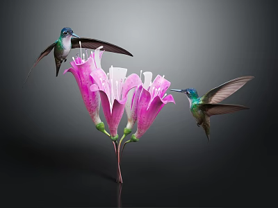Two Vibrant Hummingbirds Flying Around Blooming Pink Flowers On Dark Background 3d model