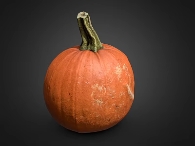 Fresh Ripe Orange Pumpkin Vegetable With Green Stem And Textured Surface 3d model