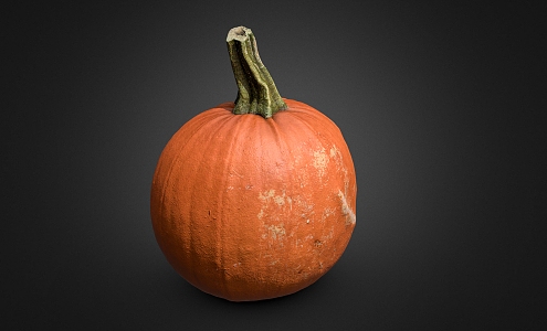 Pumpkin Vegetable Modern Pumpkin 3d model