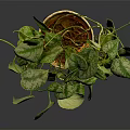 Variegated Pothos Plant With Hanging Vines In Wicker Basket On Dark Background