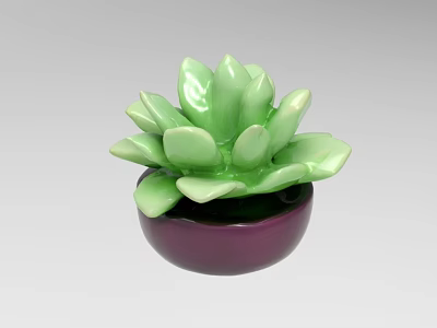 Green Succulent Ornamental Decor Set with Purple Pot for Home Decoration 3d model
