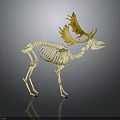 Elk Skeleton Model with Golden Antlers Displayed on Dark Reflective Background