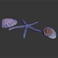 Organ And Hair Biological Specimens For Educational Biological Study