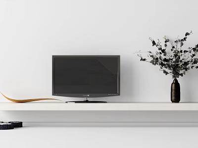 LCD TV Dried Branch Ornaments Cushion 3d model