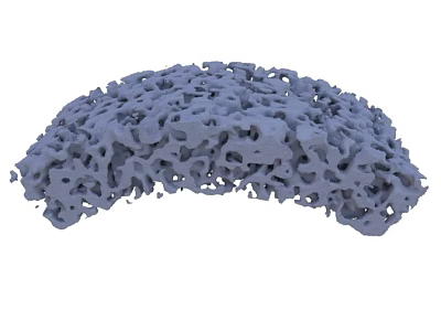 Gray Porous Semicircular Structure Featuring Complex Interconnected Hole Patterns 3d model