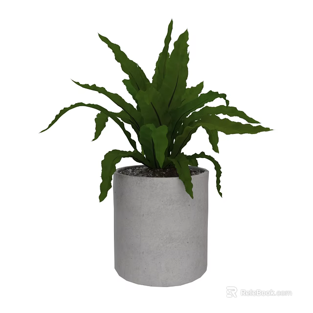 Green Bonsai Potted Plant With Long Leaves In Gray Concrete Pot And Small Stones 3d model 