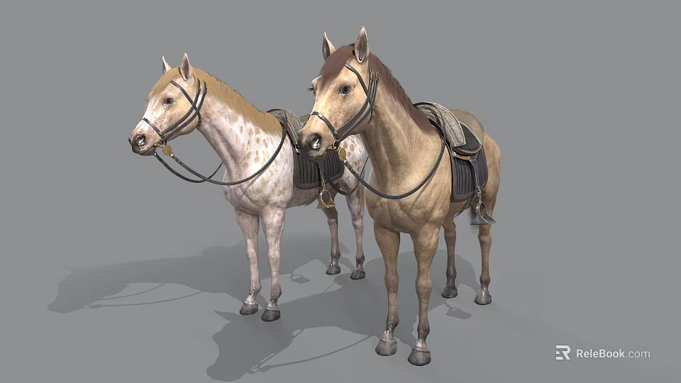 Two Saddled Horses With Different Coat Colors Standing On Gray Background 3d model 