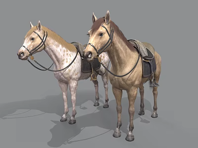 Two Saddled Horses With Different Coat Colors Standing On Gray Background 3d model